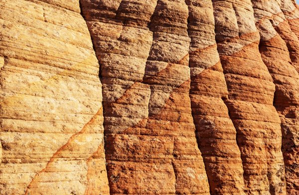 Renforcer les compétences et la performance de vos équipes par une formation interne efficace